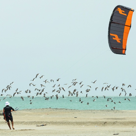 Kite F-ONE Bandit XVI flame / mint 4