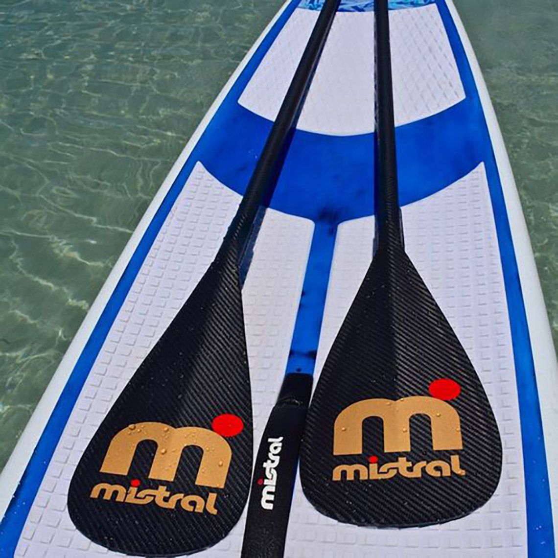 Mistral Full Carbon Gold Edition paddle N-MISTRAL-PADDLE-FC-GOLD